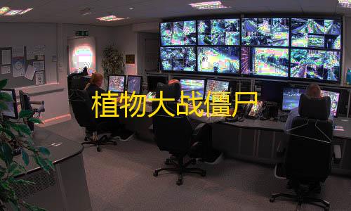 Ray安装包植物大战僵尸